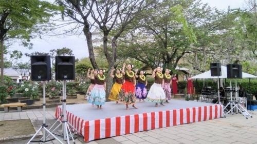 250419peonyfes 3